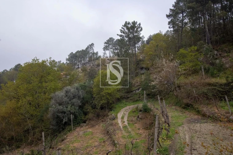 Moradia para Venda em Amarante (São Gonçalo), Madalena, Cepelos e Gatão Foto 18