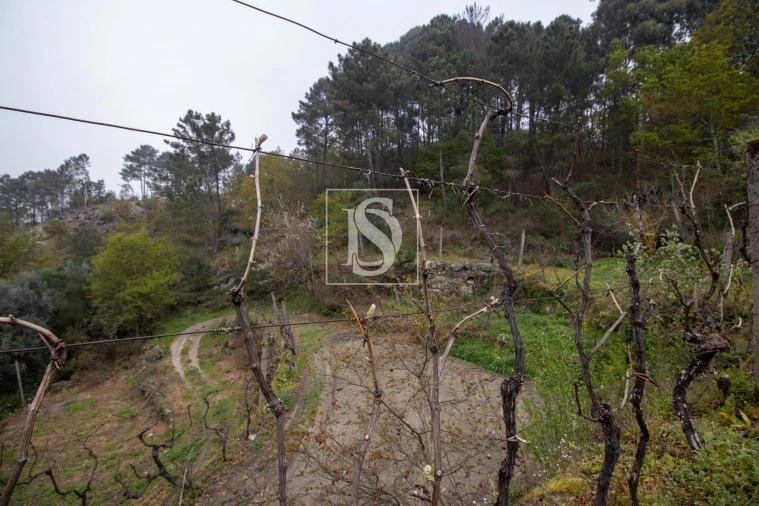 Moradia para Venda em Amarante (São Gonçalo), Madalena, Cepelos e Gatão Foto 19