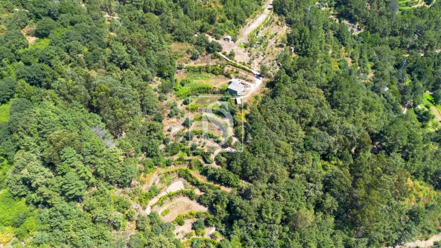 Moradia para Venda em Amarante (São Gonçalo), Madalena, Cepelos e Gatão Foto 2