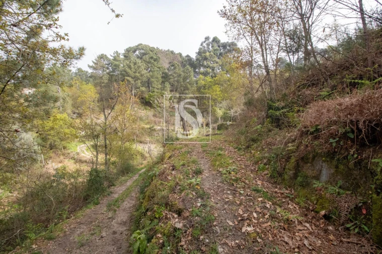 Moradia para Venda em Amarante (São Gonçalo), Madalena, Cepelos e Gatão Foto 20