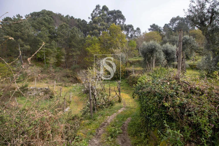 Moradia para Venda em Amarante (São Gonçalo), Madalena, Cepelos e Gatão Foto 22