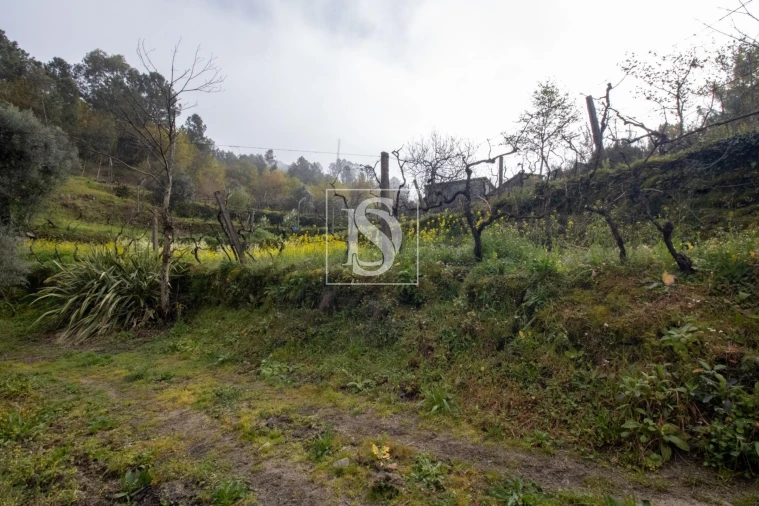 Moradia para Venda em Amarante (São Gonçalo), Madalena, Cepelos e Gatão Foto 25