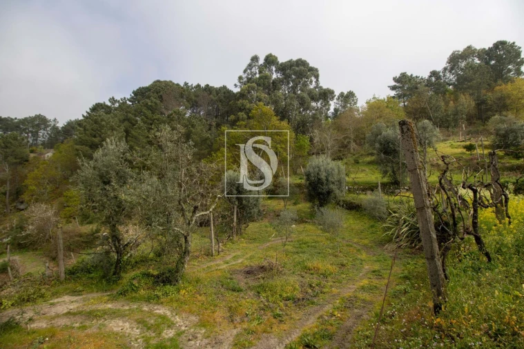 Moradia para Venda em Amarante (São Gonçalo), Madalena, Cepelos e Gatão Foto 26