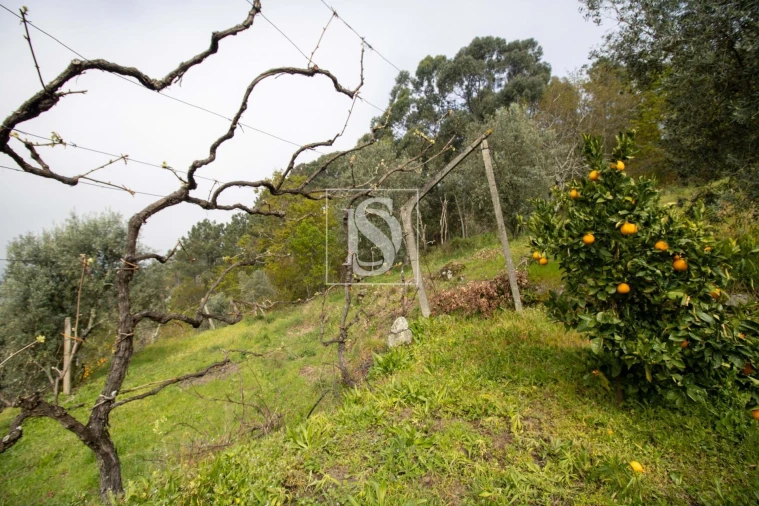 Moradia para Venda em Amarante (São Gonçalo), Madalena, Cepelos e Gatão Foto 29