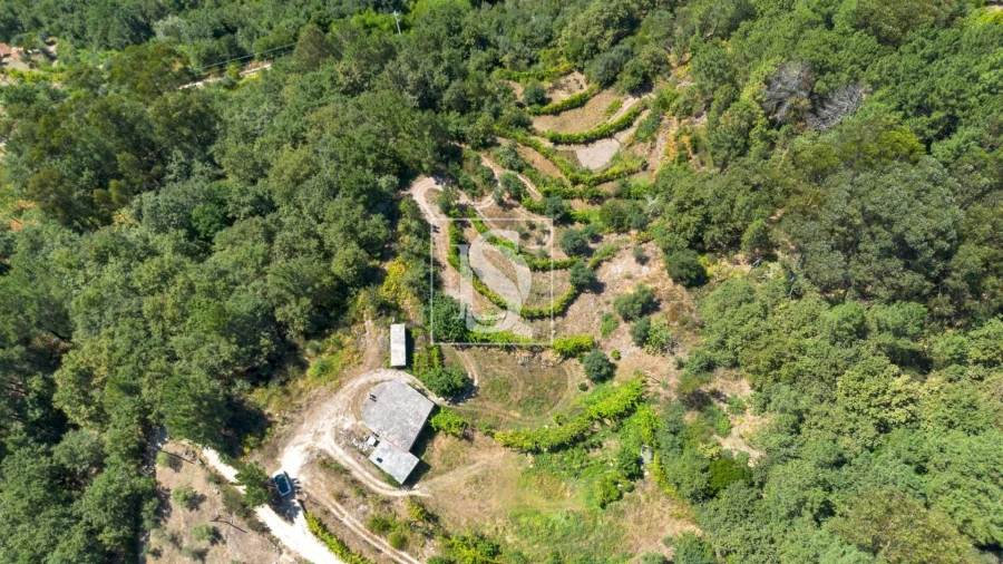Moradia para Venda em Amarante (São Gonçalo), Madalena, Cepelos e Gatão Foto 3