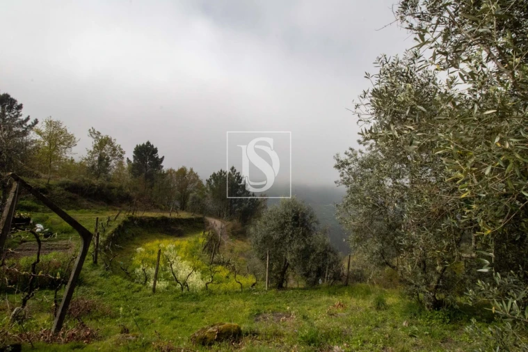 Moradia para Venda em Amarante (São Gonçalo), Madalena, Cepelos e Gatão Foto 31