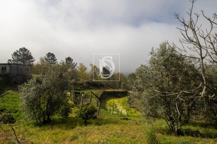 Moradia para Venda em Amarante (São Gonçalo), Madalena, Cepelos e Gatão Foto 32