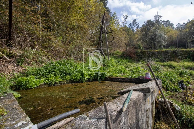Moradia para Venda em Amarante (São Gonçalo), Madalena, Cepelos e Gatão Foto 33