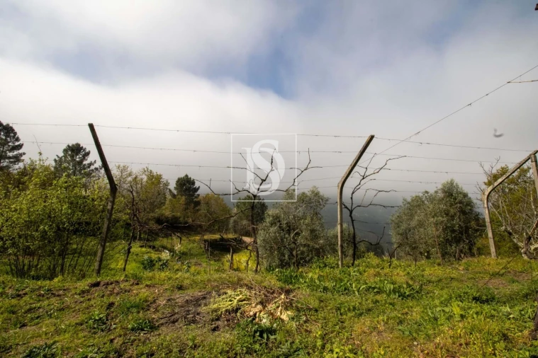 Moradia para Venda em Amarante (São Gonçalo), Madalena, Cepelos e Gatão Foto 35
