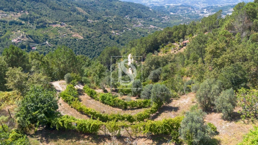 Moradia para Venda em Amarante (São Gonçalo), Madalena, Cepelos e Gatão Foto 4