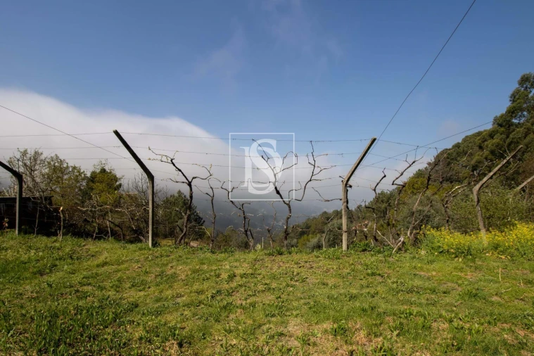 Moradia para Venda em Amarante (São Gonçalo), Madalena, Cepelos e Gatão Foto 42