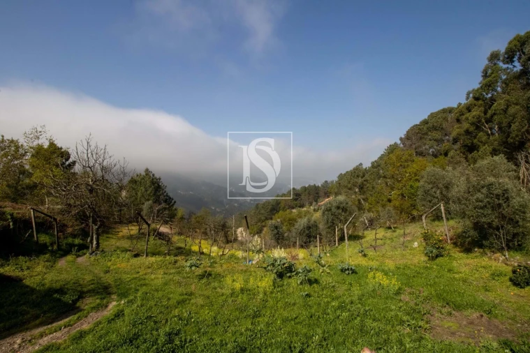 Moradia para Venda em Amarante (São Gonçalo), Madalena, Cepelos e Gatão Foto 44