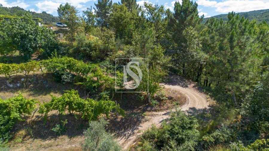 Moradia para Venda em Amarante (São Gonçalo), Madalena, Cepelos e Gatão Foto 50