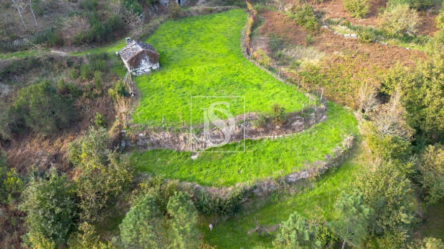 Terreno Agricola ou Rústico para Venda em Ansiães Foto 2