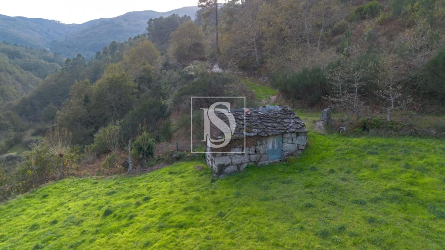 Terreno Agricola ou Rústico para Venda em Ansiães Foto 3