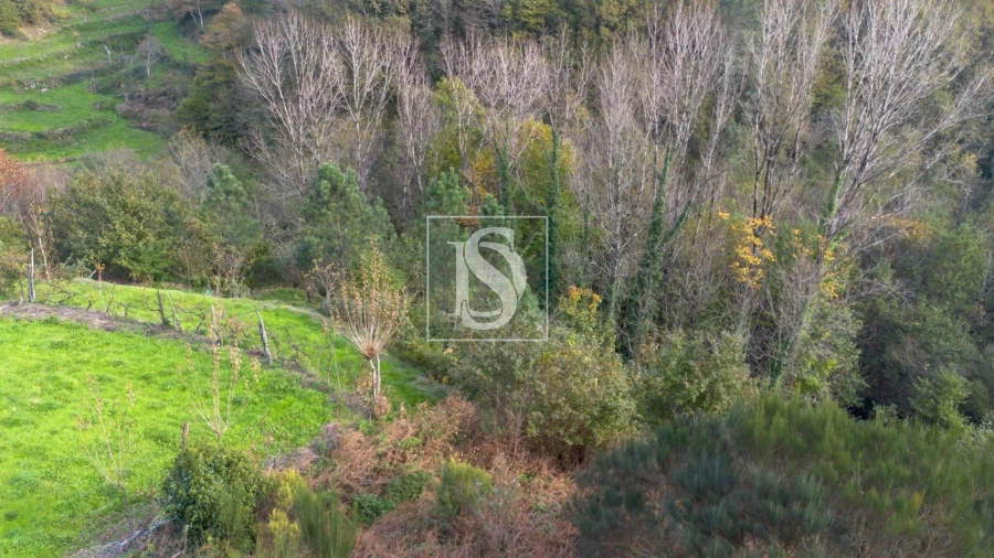 Terreno Agricola ou Rústico para Venda em Ansiães Foto 9