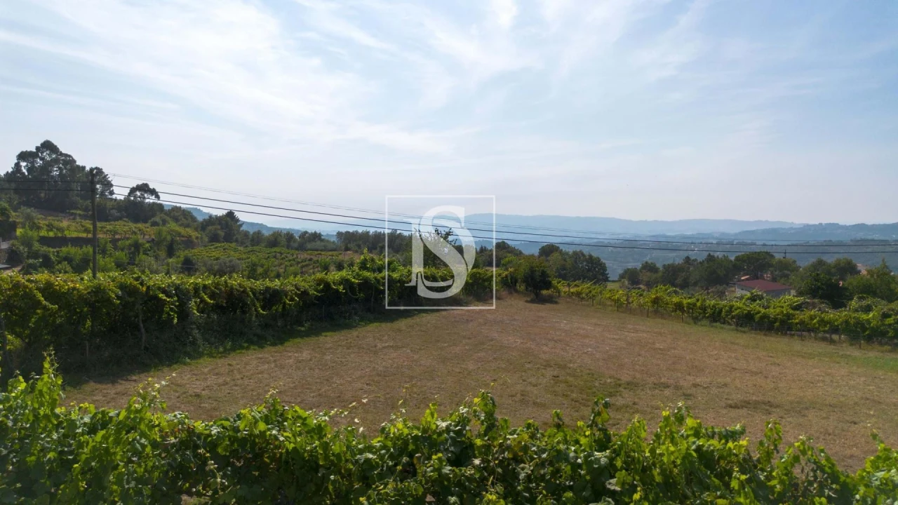 Terreno para Venda em Espírito Santo, Nossa Senhora da Graça e São Simão Foto 22