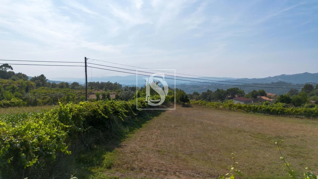 Terreno para Venda em Espírito Santo, Nossa Senhora da Graça e São Simão Foto 24