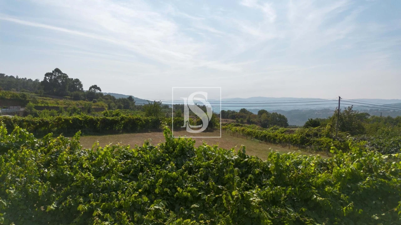 Terreno para Venda em Espírito Santo, Nossa Senhora da Graça e São Simão Foto 4