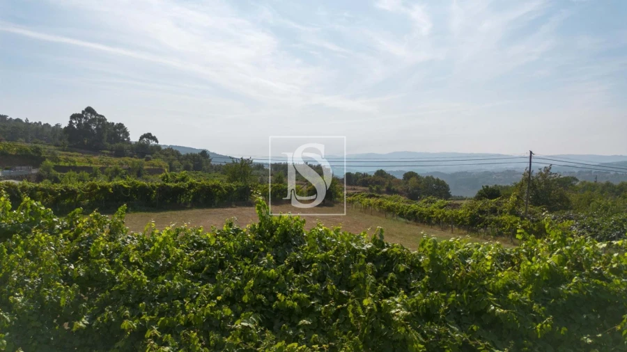 Terreno para Venda em Espírito Santo, Nossa Senhora da Graça e São Simão Foto 4