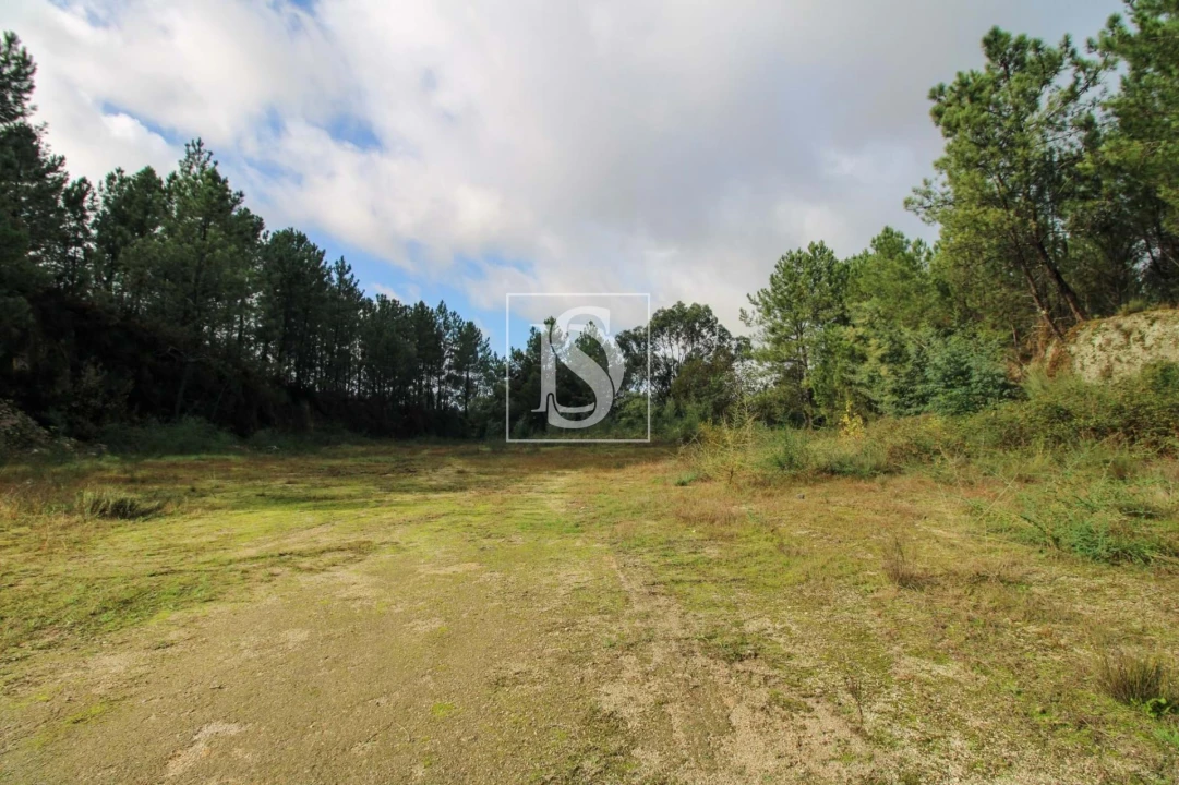 Terreno para Venda em Lufrei Foto 19