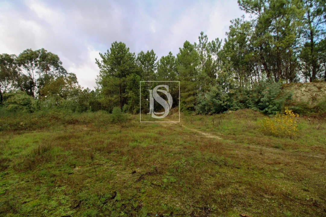 Terreno para Venda em Lufrei Foto 21