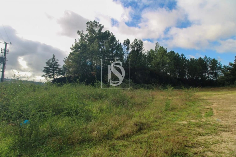 Terreno para Venda em Lufrei Foto 18