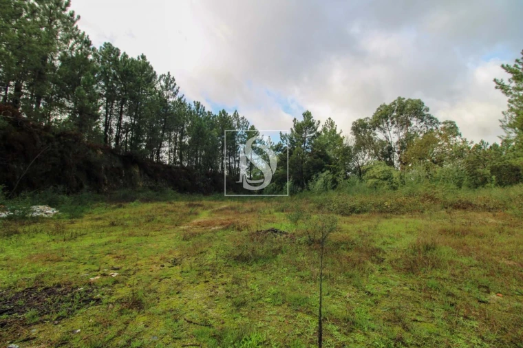 Terreno para Venda em Lufrei Foto 22