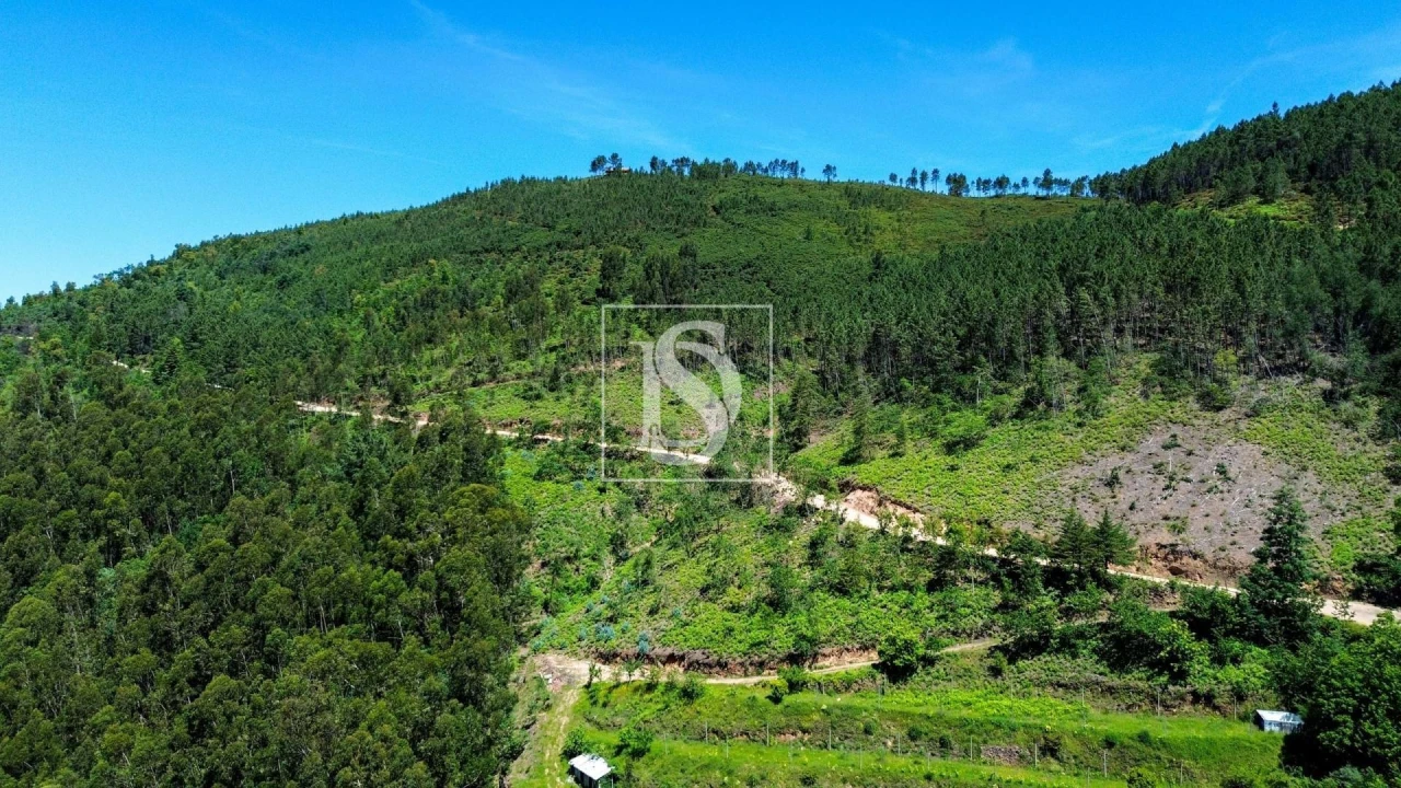 Moradia T2 para Venda em Amarante (São Gonçalo), Madalena, Cepelos e Gatão Foto 25