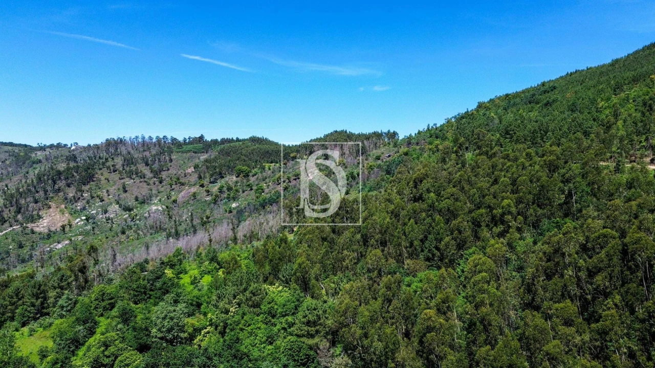 Moradia T2 para Venda em Amarante (São Gonçalo), Madalena, Cepelos e Gatão Foto 26