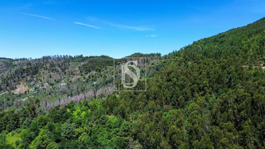 Moradia T2 para Venda em Amarante (São Gonçalo), Madalena, Cepelos e Gatão Foto 26