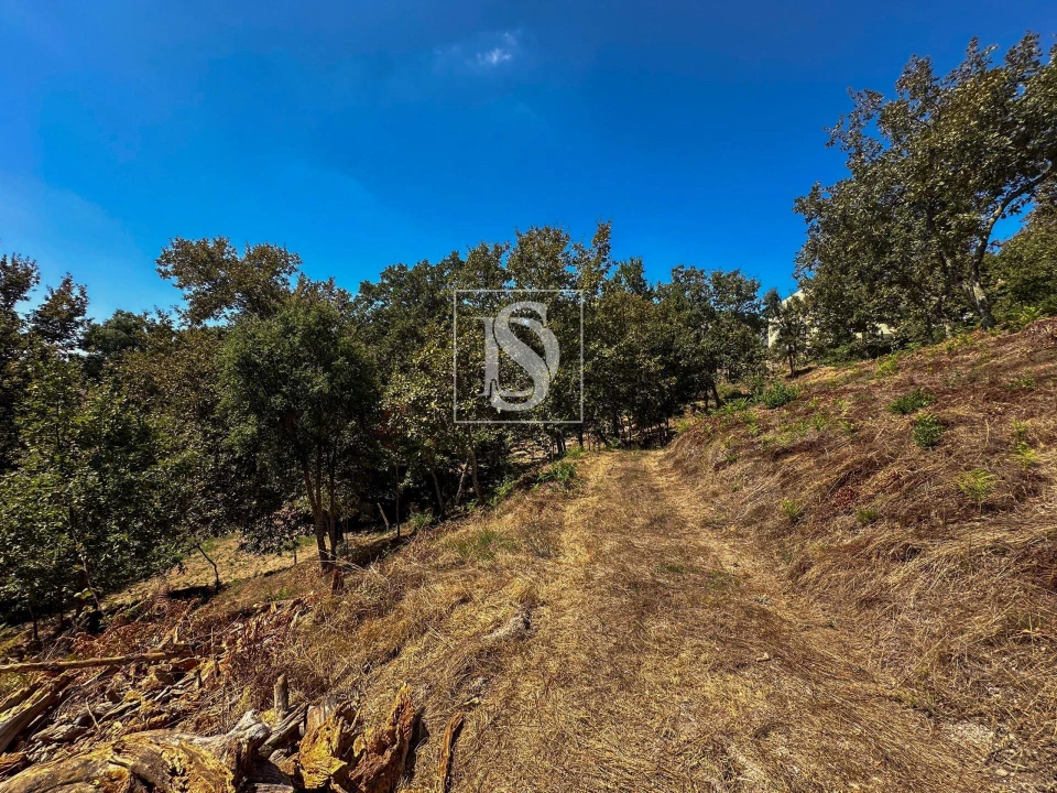 Terreno para Venda em Lufrei Foto 3