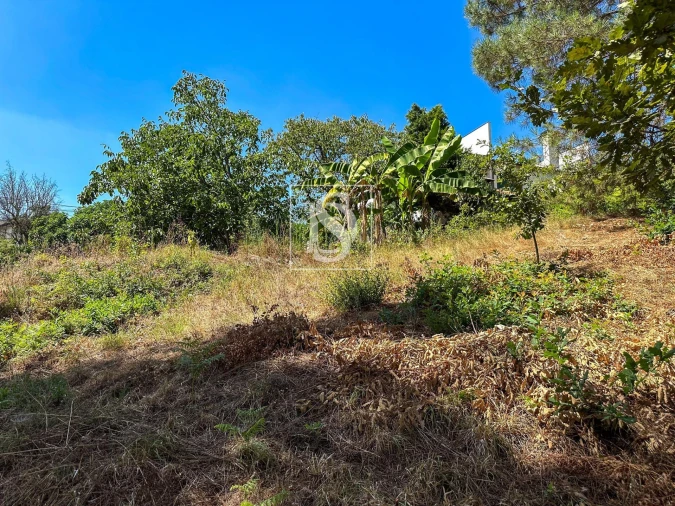 Terreno para Venda em Lufrei Foto 10