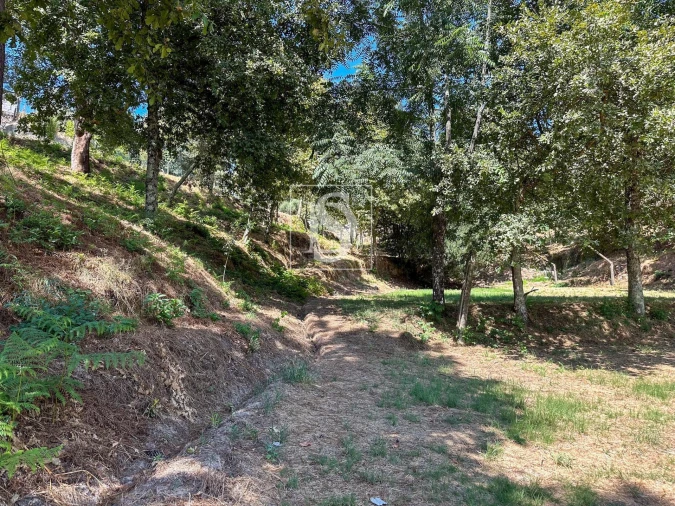 Terreno para Venda em Lufrei Foto 3