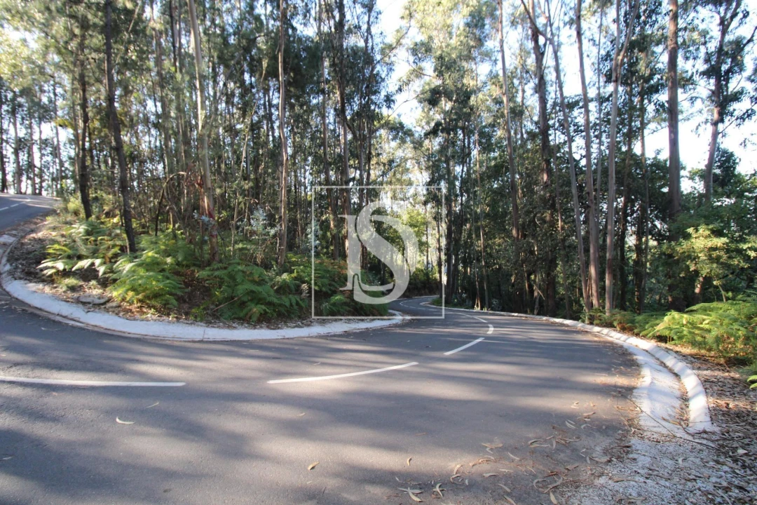 Terreno Agricola ou Rústico para Venda em Rebordelo Foto 1