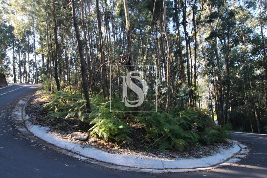 Terreno Agricola ou Rústico para Venda em Rebordelo Foto 5