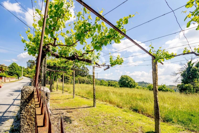 Moradia T3 para Venda em Lufrei Foto 12