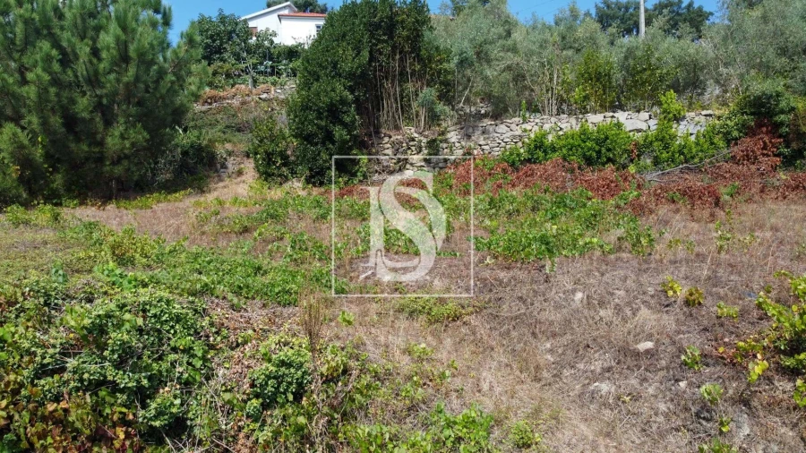 Terreno Agricola ou Rústico para Venda em Ancede e Ribadouro Foto 21