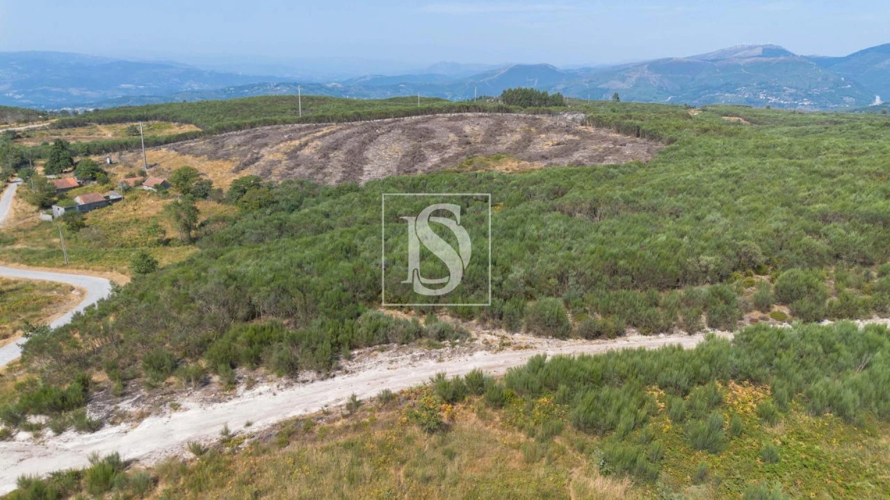 Terreno Agricola ou Rústico para Venda em Espírito Santo, Nossa Senhora da Graça e São Simão Foto 16