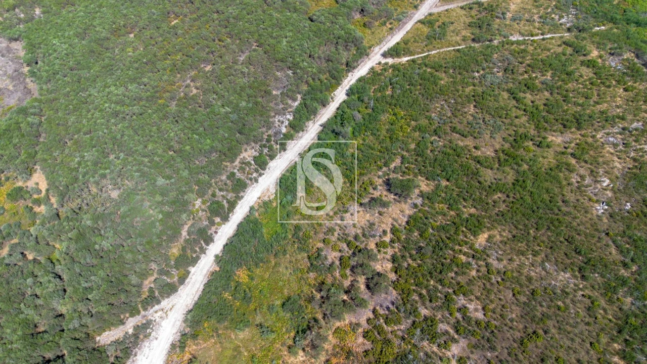 Terreno Agricola ou Rústico para Venda em Espírito Santo, Nossa Senhora da Graça e São Simão Foto 8