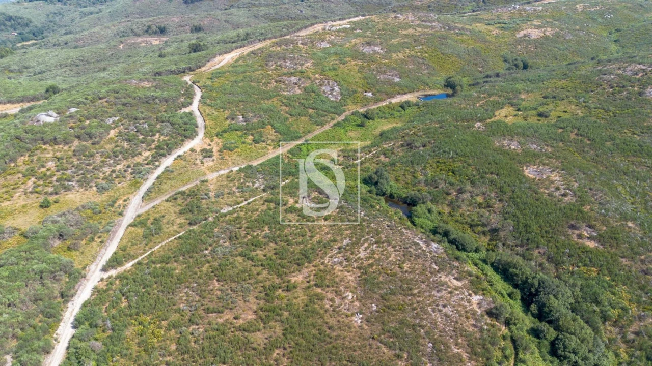 Terreno Agricola ou Rústico para Venda em Espírito Santo, Nossa Senhora da Graça e São Simão Foto 9