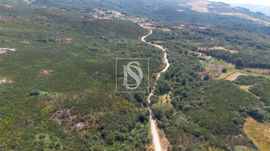 Terreno Agricola ou Rústico para Venda em Espírito Santo, Nossa Senhora da Graça e São Simão Foto 10