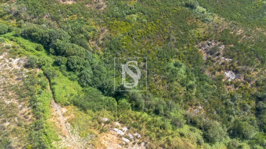 Terreno Agricola ou Rústico para Venda em Espírito Santo, Nossa Senhora da Graça e São Simão Foto 14