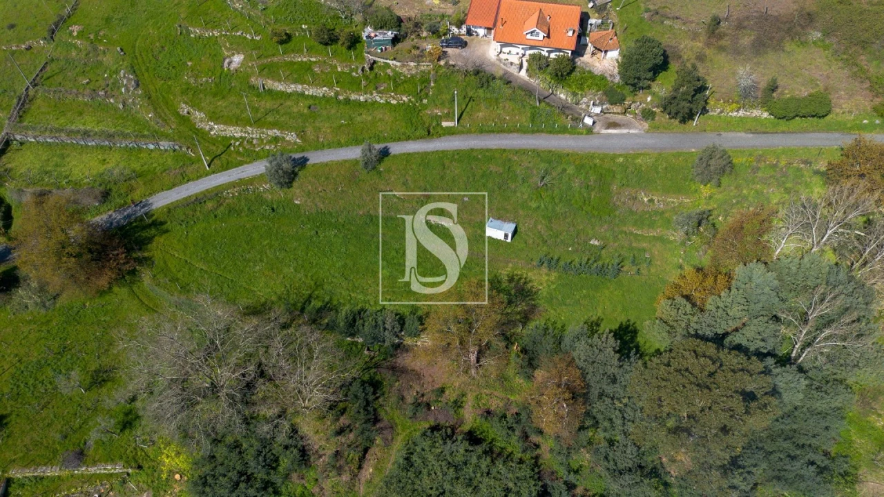 Terreno Agricola ou Rústico para Venda em Ancede e Ribadouro Foto 12