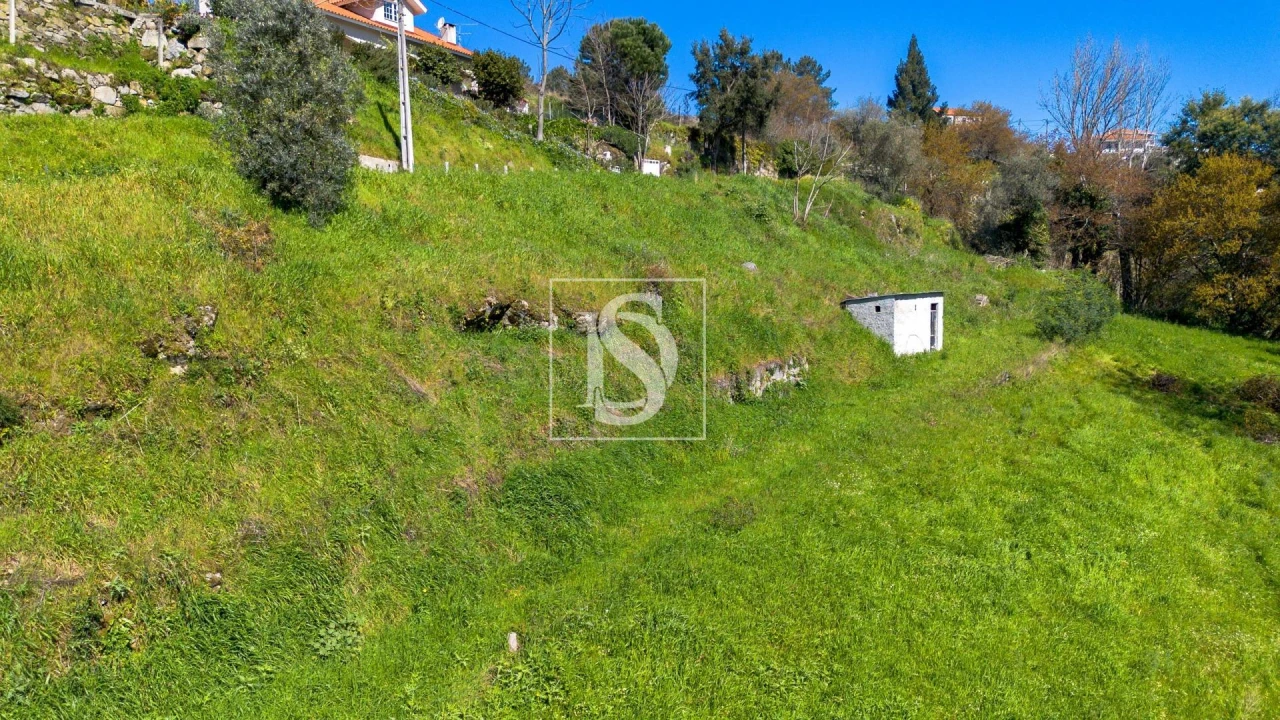 Terreno Agricola ou Rústico para Venda em Ancede e Ribadouro Foto 20
