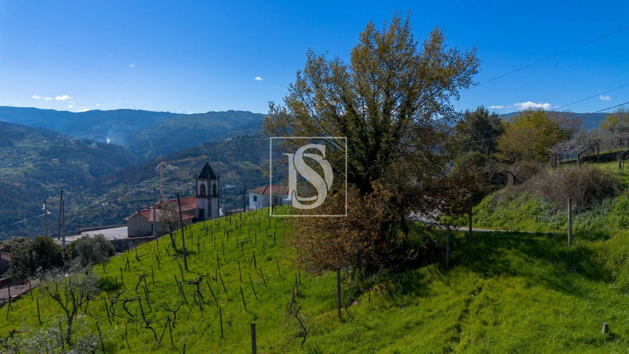 Terreno Agricola ou Rústico para Venda em Ancede e Ribadouro Foto 21