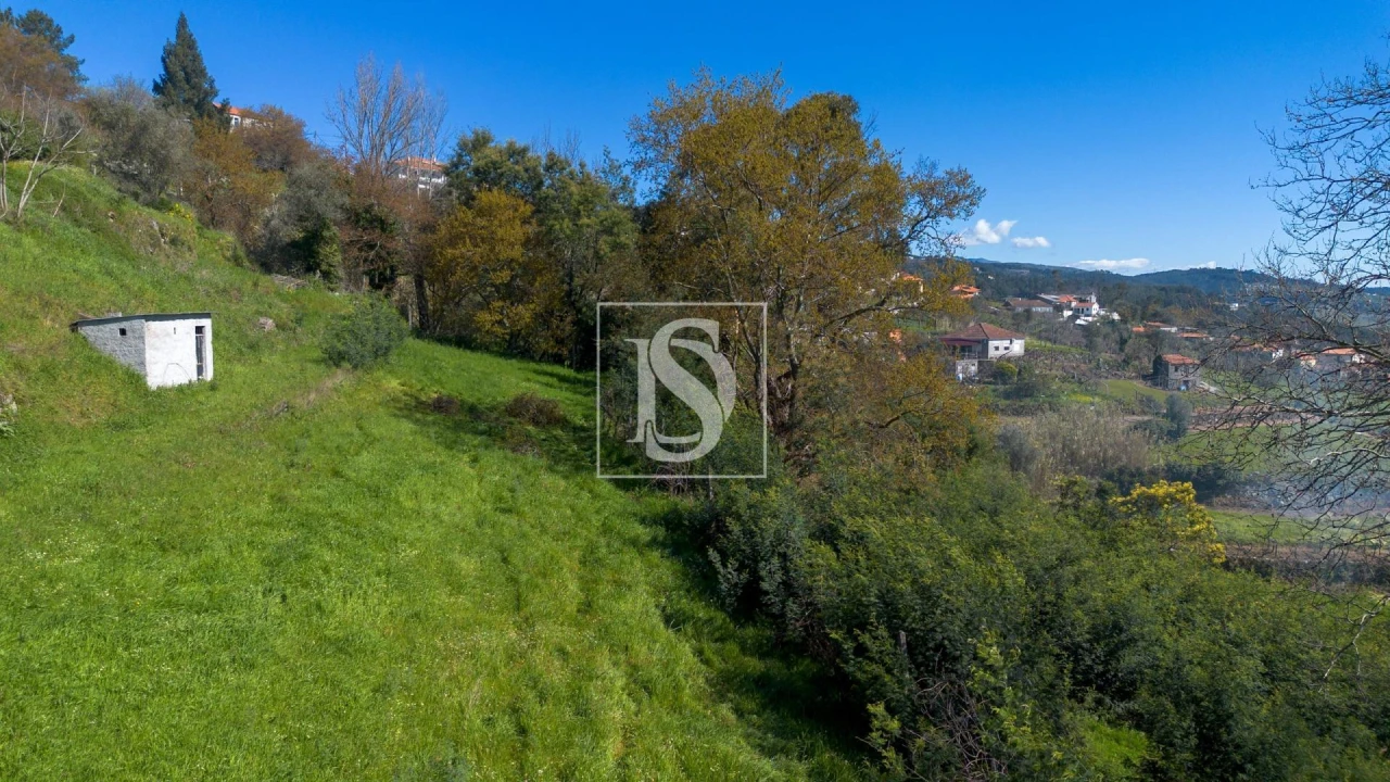 Terreno Agricola ou Rústico para Venda em Ancede e Ribadouro Foto 22