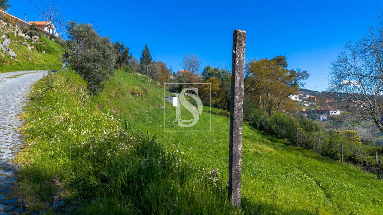 Terreno Agricola ou Rústico para Venda em Ancede e Ribadouro Foto 3