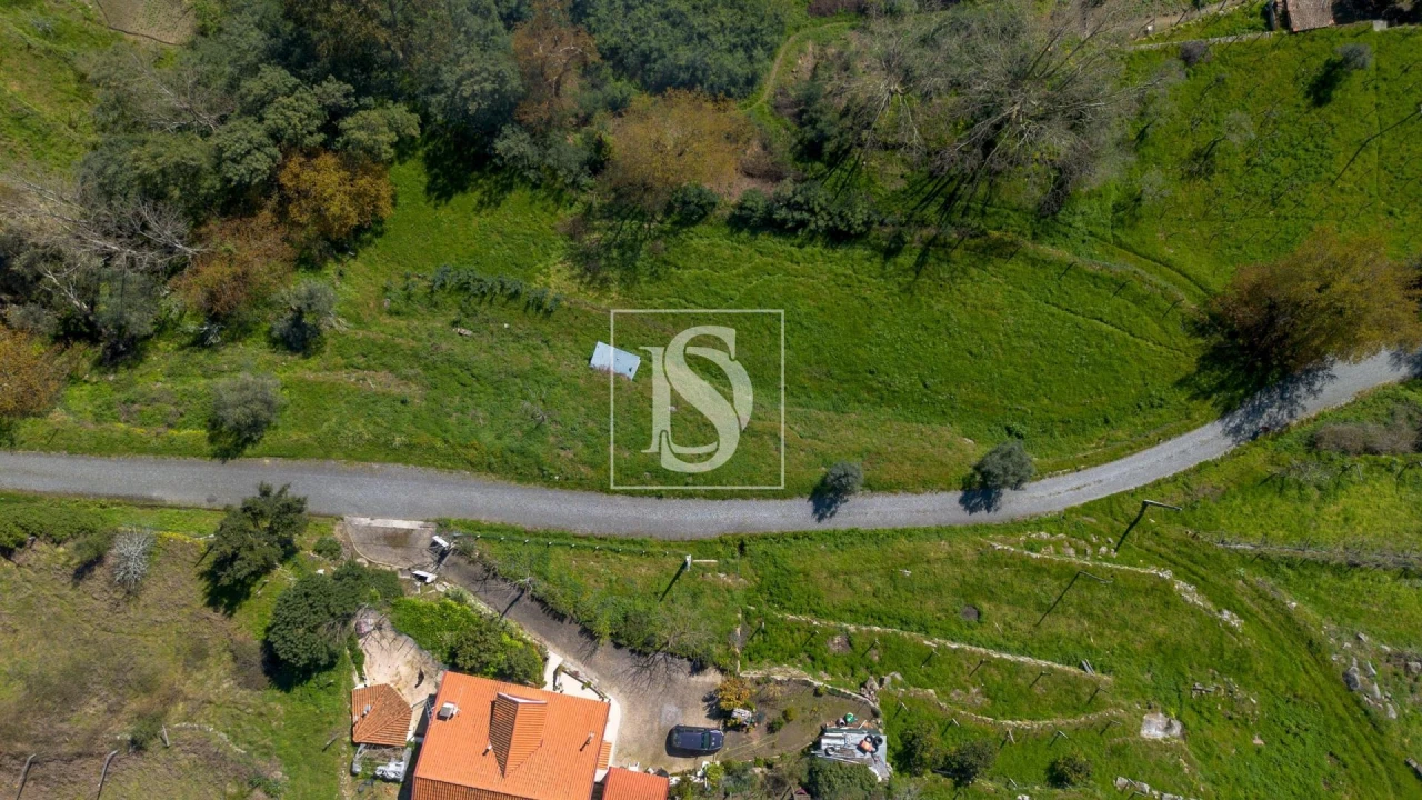 Terreno Agricola ou Rústico para Venda em Ancede e Ribadouro Foto 6