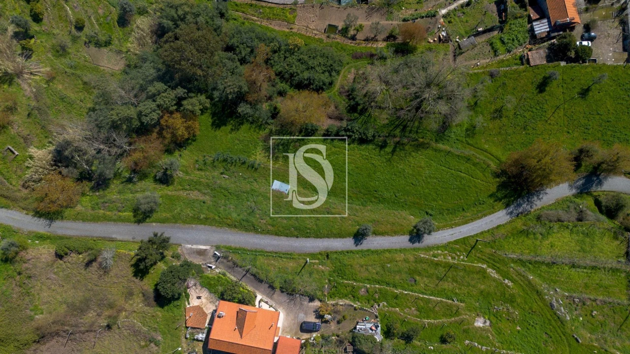 Terreno Agricola ou Rústico para Venda em Ancede e Ribadouro Foto 7